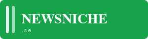 NEWSNICHE